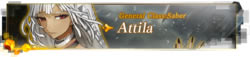 Fate/EXTELLA游戏角色介绍6