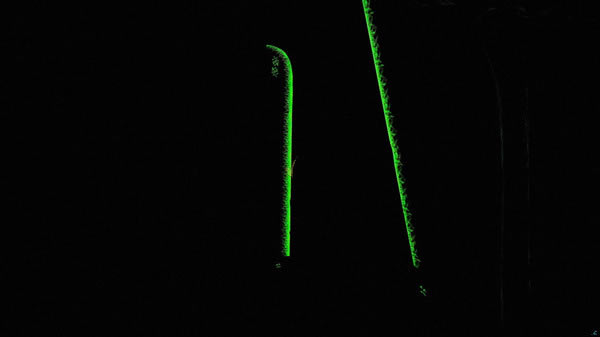 ֮·2ӫ󿳵MODؽͼ