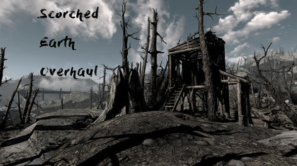 4MOD_4MOD ɫ-