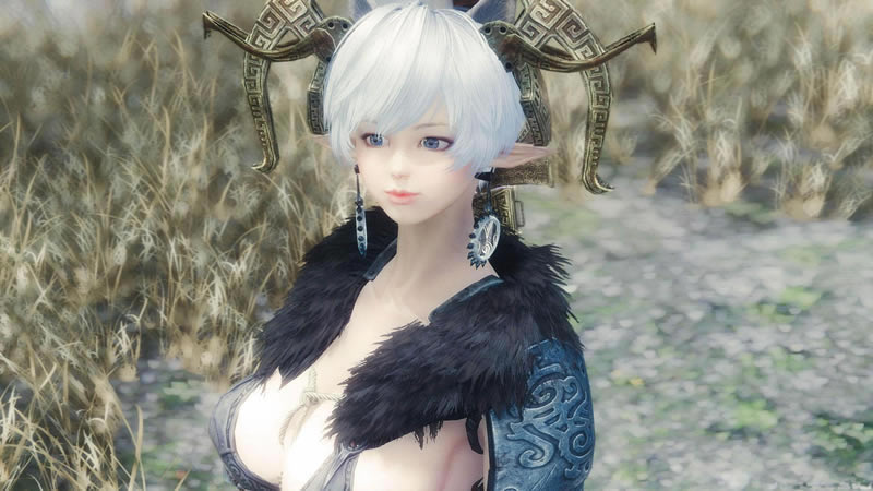 上古卷轴5随从MOD_《上古卷轴5》小葵!小葵!独立随从MOD-开心电玩