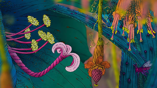 �������ռ�����