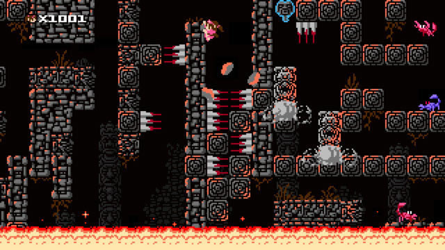 1001�Ŷ�������