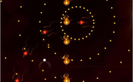 ��ο����