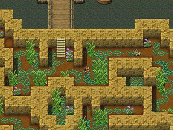 ���ݺڿͣ���������