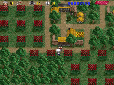 ƽԭ������������������