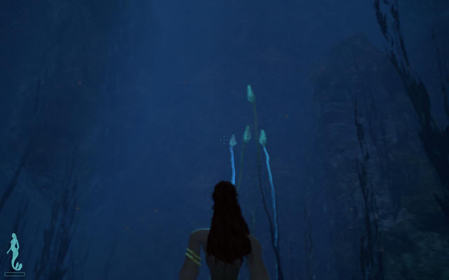 ��ˮ����������