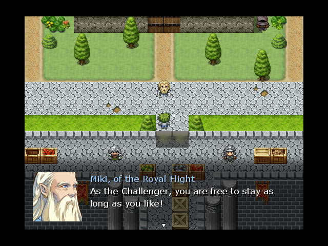 ����ʽRPG��Ϸ-�ھ�֮������(AHouseofChampions)��ɫӲ�̰�