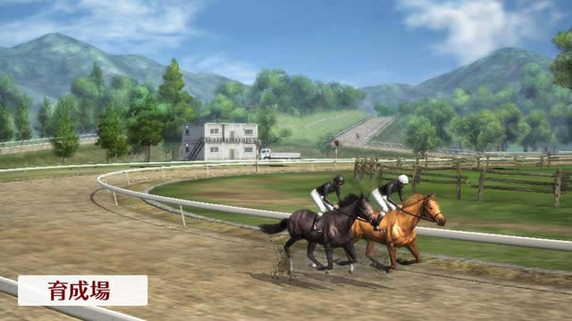 �������8�������ĺ�����