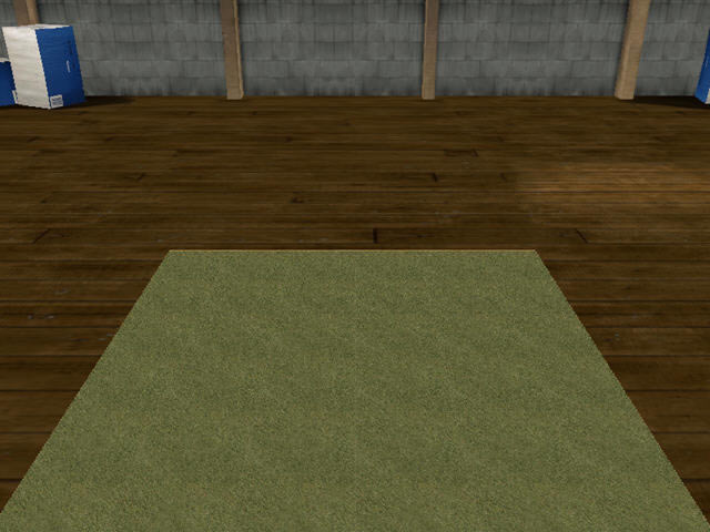 ģ����·2����(רҵ����·������Ϸ)