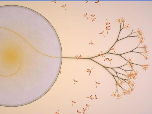 ���������������Ӳ�̰�