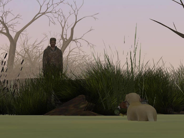 �ռ���Ѽ����