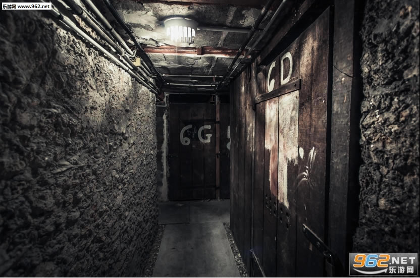 The FanĻ-The FanӢİ