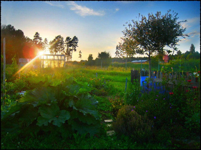 ���޶�����հ�4:���ǹ�������