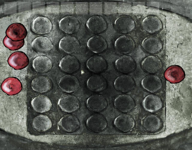 Զ�ű��:��һ������