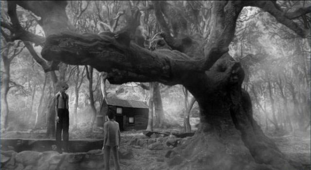 ���Ȱ�������Ǳ���Ļ�������