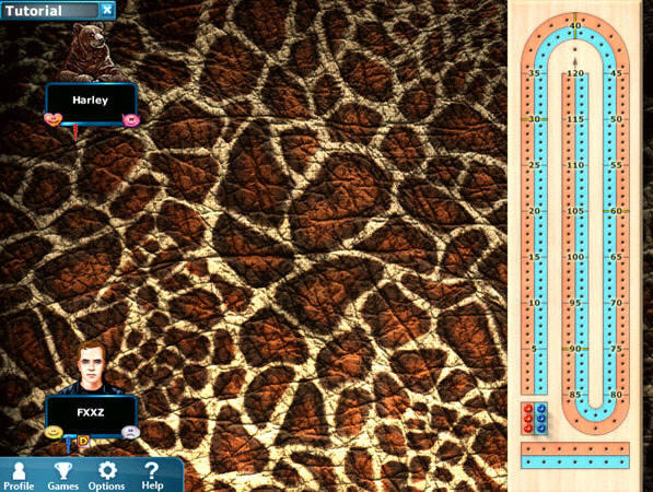 �����˿�����