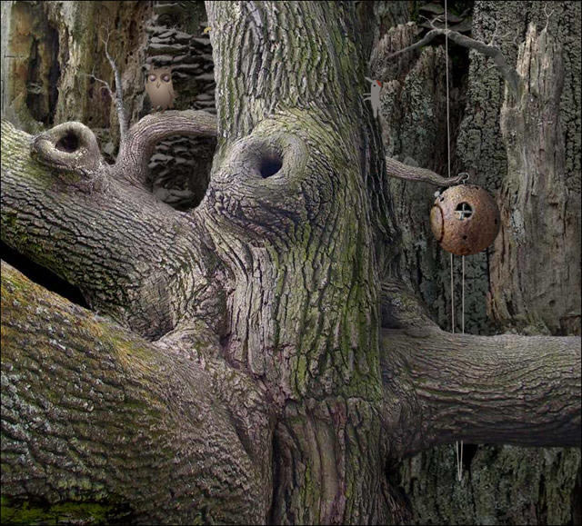 �������ռ�1����