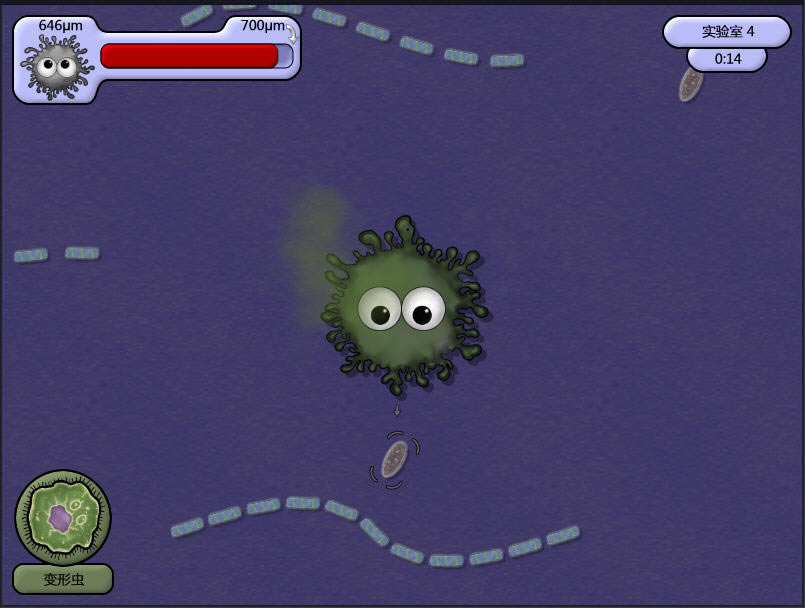 ��ζ����1��������Ӳ�̰�