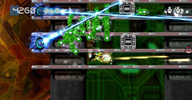 �Ǽ�ɥʬ����