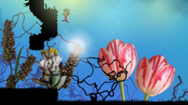 ���صĹ���:����̽������