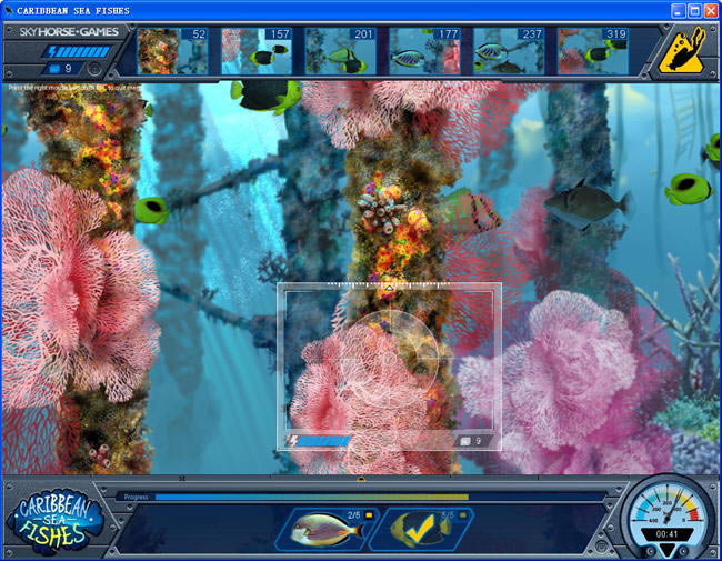 �������ص����Ⱥ-���ձȺ�֮������(CaribbeanSeaFishes)��ɫӲ�̰�