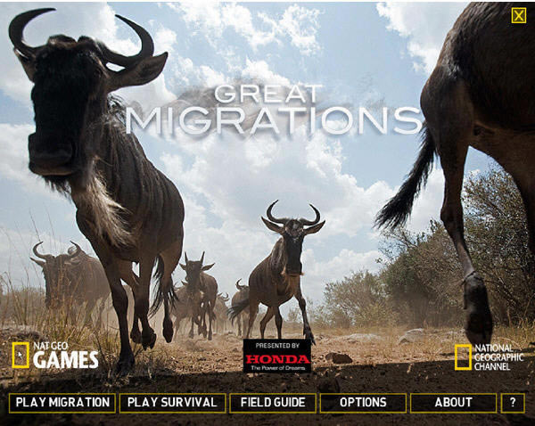 �����Ǩ������