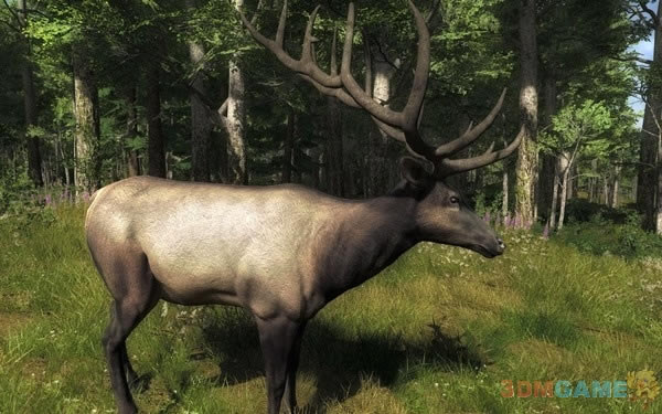 ����2012��Ϸ����_����2012Ӣ���ⰲװ����Ϸ����