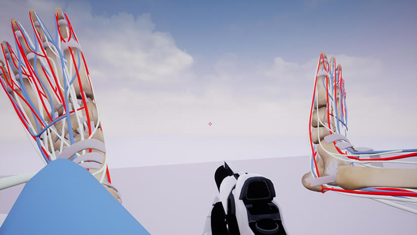 �����������_�������shot the body���İ�����