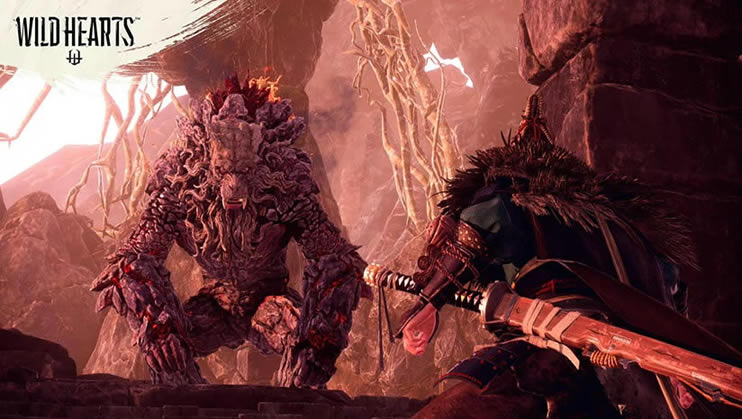 ��Ұ֮�����أ���δ���ߣ�_��Ұ֮��WILD HEARTS���İ�����