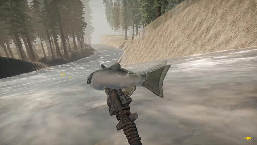 ʧ�ٷɻ���������_ʧ�ٷɻ�����Missing Plane Survival���İ�����