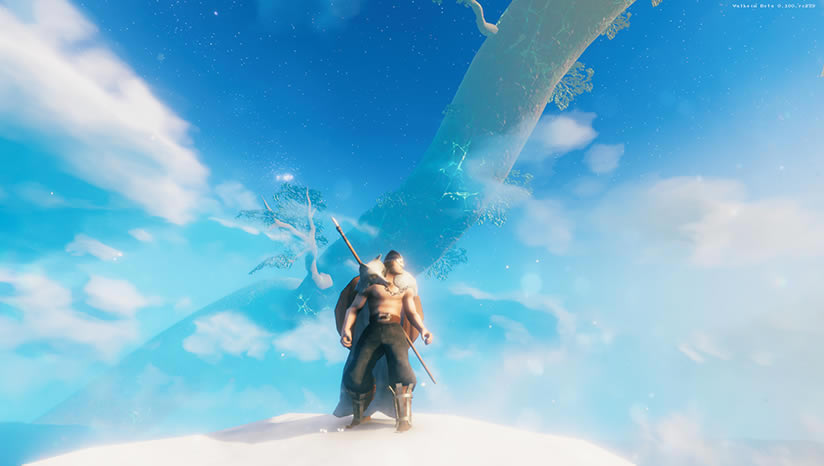 valheim����_valheim���İ�����