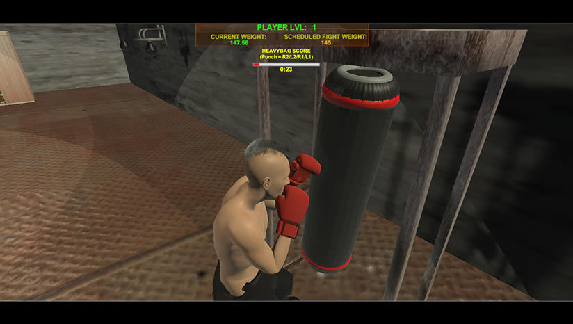 ȭ��������Ϸ����_ȭ������art of boxing���İ�����