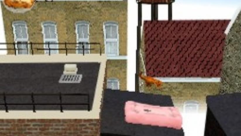 ���ӷ�è�Ķ��Ρ� ��������_�ӷ�è�Ķ�������