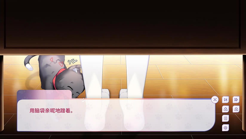 �ҵ�è���������أ���δ���ߣ�_�ҵ�è���������İ�����