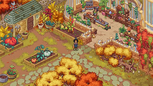 ��ʦ��³��witchbrook���أ���δ���ߣ�_witchbrook���İ�����