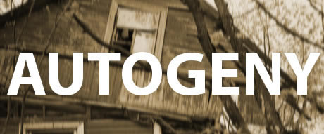 �����ͽ��������Ӣ���ⰲװ��