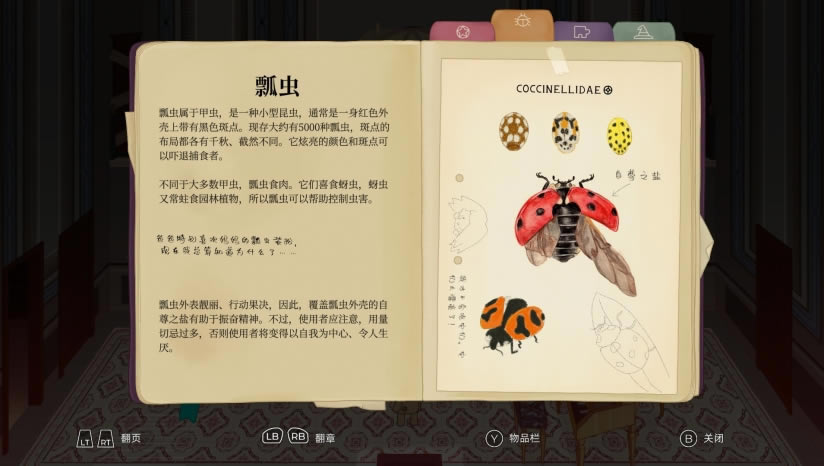 CLeM����_CLeM���İ�����