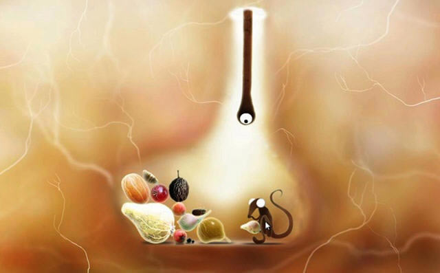 ֲ�ﾫ�����İ�_ֲ�ﾫ�� ���������ⰲװ������