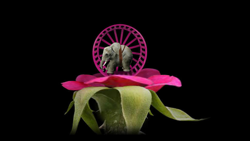 �����أ���δ���ߣ�_��mitoza���İ�����