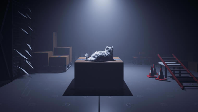 Follow The Cat���أ���δ���ߣ�_Follow The Cat���İ�����