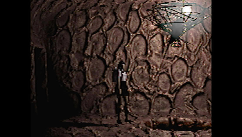 Risu���أ���δ���ߣ�_Risu���İ�����