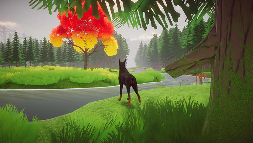 Django���أ���δ���ߣ�_Django���İ�����