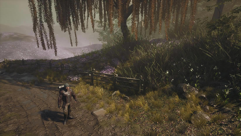 Cions of Vega����_Cions of Vega���İ�����