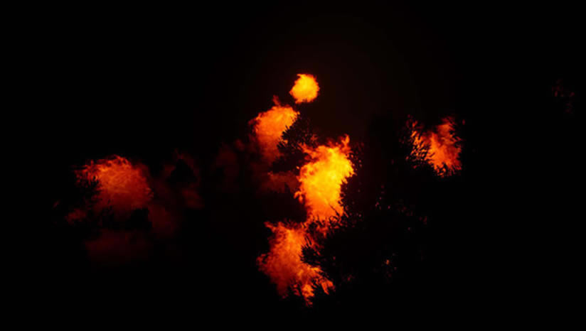 ¹֮������-¹֮�����İ�����