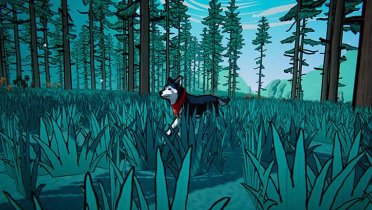 ����֮������_����֮�����İ�����