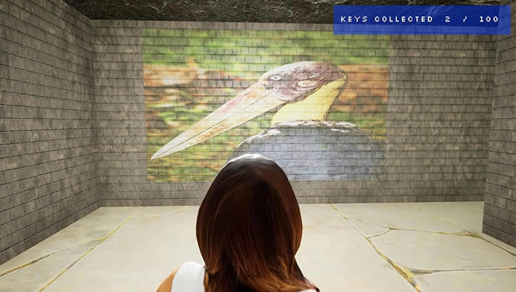 �Թ�����_�Թ�the maze���İ�����