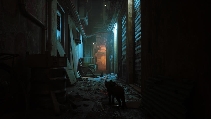 stray���أ���δ���ߣ�_stray���İ�����