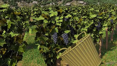 �Ƴ�ģ�������أ���δ���ߣ�_�Ƴ�ģ����winery simulator���İ�����