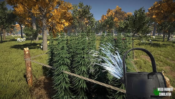 �Ӳ�ũ��ģ��������_weed farmer simulator���İ�����